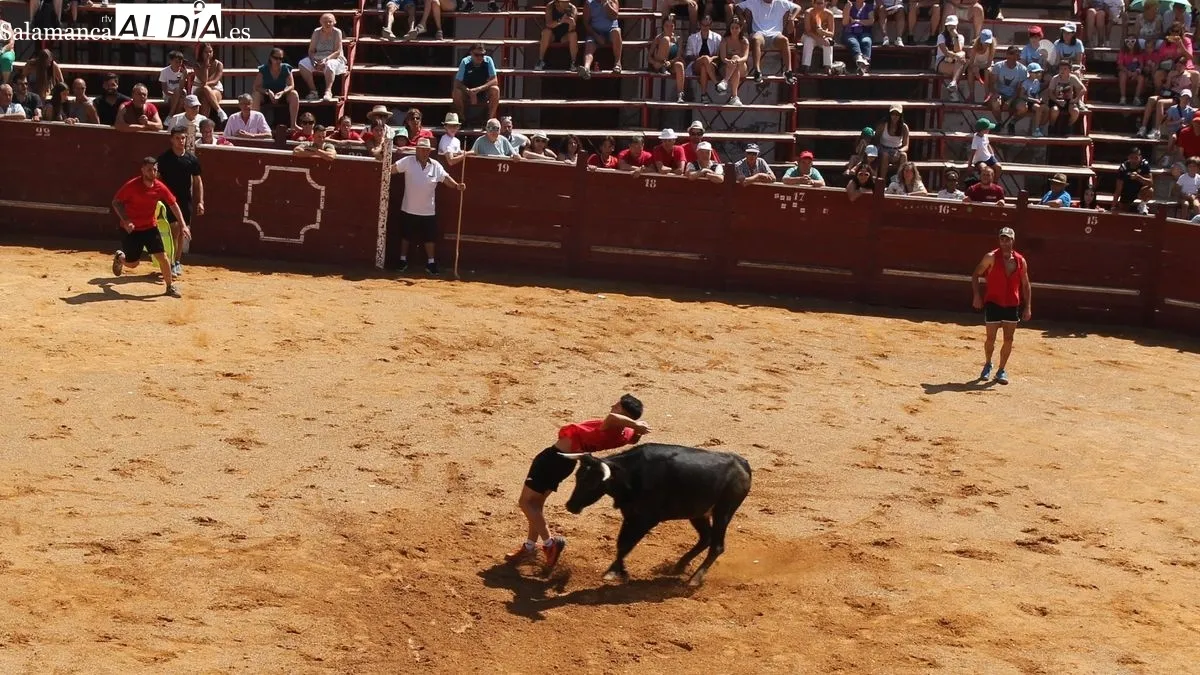 Los aficionados corrieron delante de los astados a lo largo de todo el recorrido