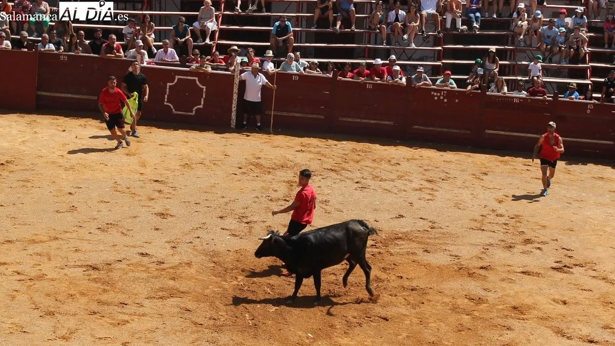 Los aficionados corrieron delante de los astados a lo largo de todo el recorrido
