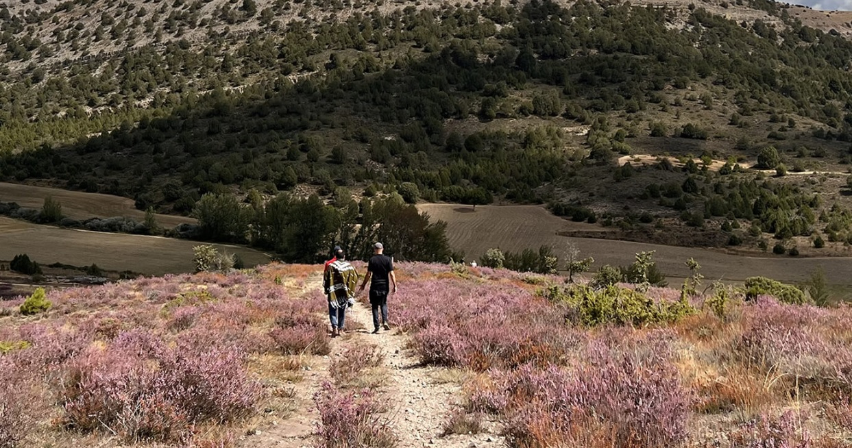 Turismo Castilla y León: guía de patrimonio y naturaleza