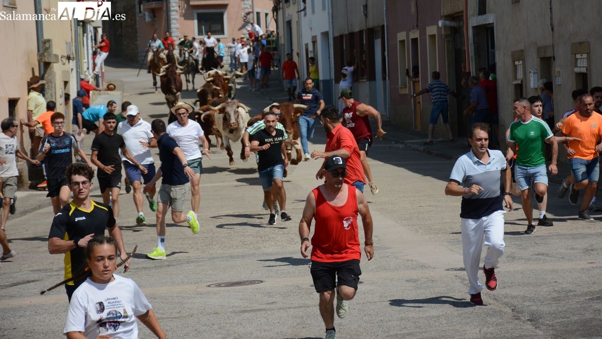 Numeroso público disfruta del primer encierro a caballo de las fiestas de Lumbrales