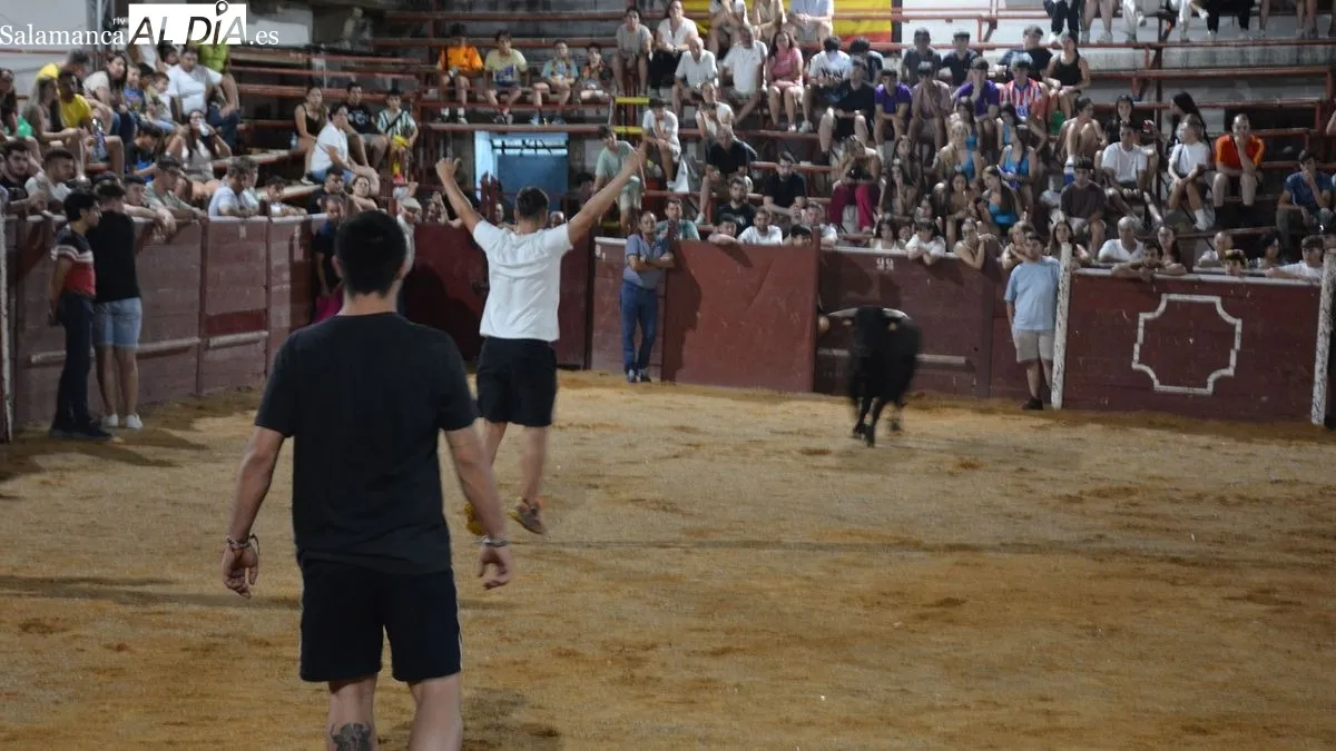 Foto 2 - La capea de tres 'toros de caj&oacute;n' anima la noche del domingo en Lumbrales
