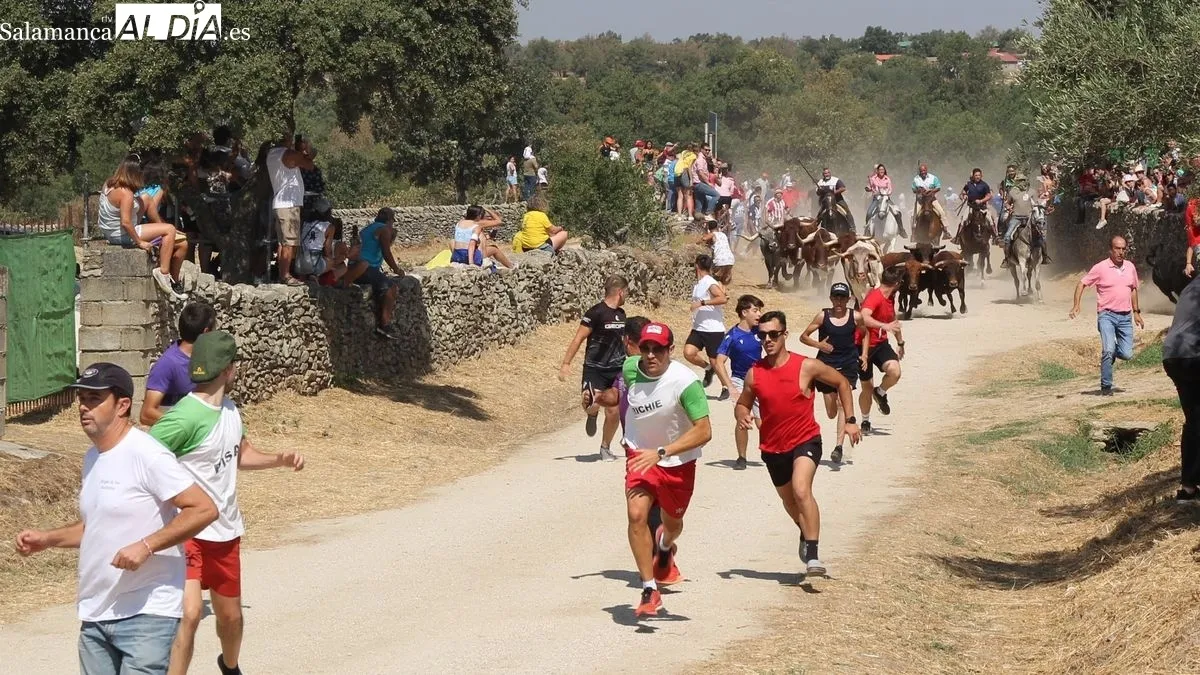 Foto 3 - Vibrante encierro a caballo en las fiestas de Los Toros de Lumbrales