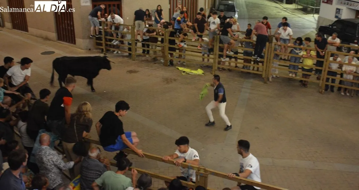 Foto 4 - La capea de tres 'toros de caj&oacute;n' anima la noche del domingo en Lumbrales