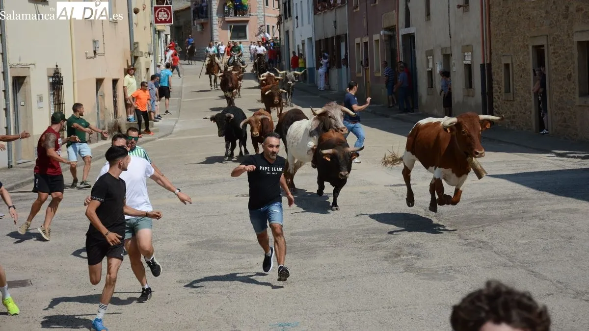 Foto 2 - El primer encierro a caballo de las fiestas de Toros de Lumbrales atrae a numeroso p&uacute;blico