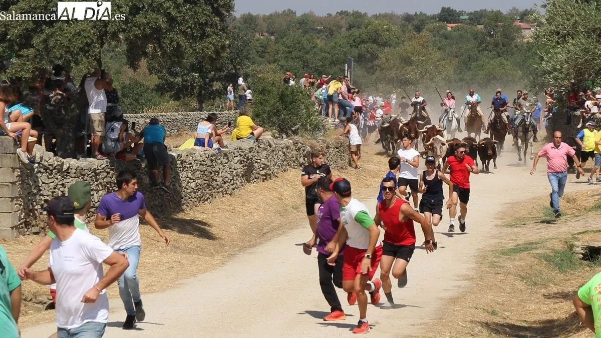 Foto 2 - Vibrante encierro a caballo en las fiestas de Los Toros de Lumbrales