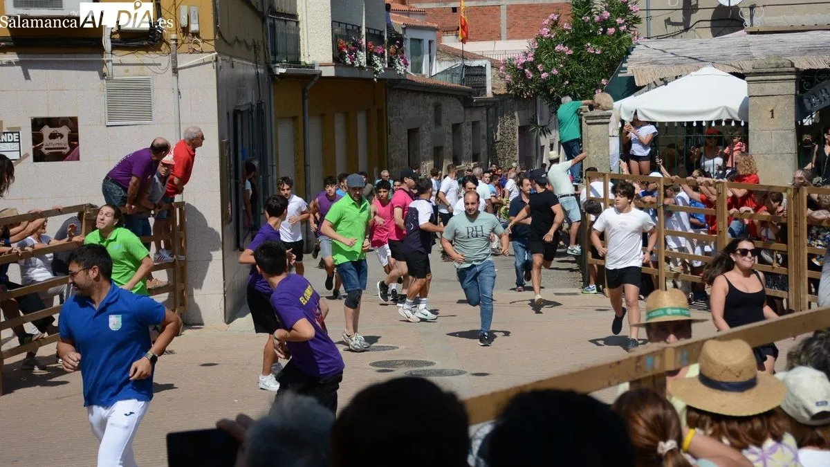 Foto 6 - R&aacute;pido y limpio encierro de los novillos de El Collado en Lumbrales