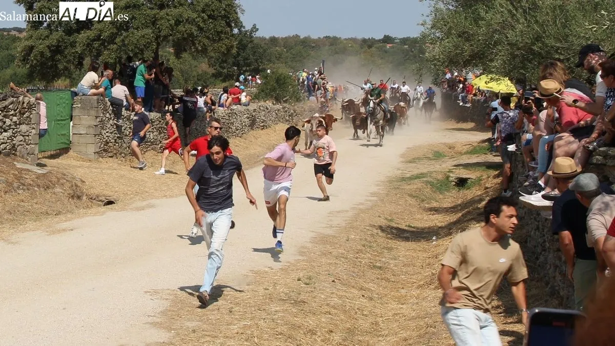 Foto 5 - El primer encierro a caballo de las fiestas de Toros de Lumbrales atrae a numeroso p&uacute;blico