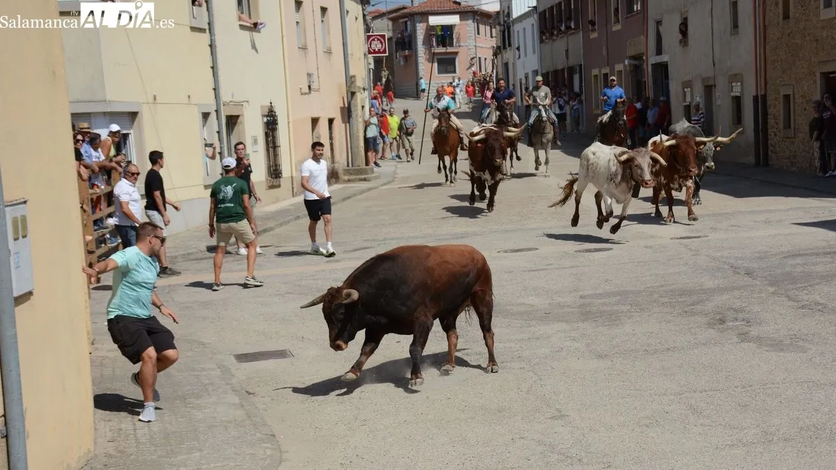 Foto 4 - Vibrante encierro a caballo en las fiestas de Los Toros de Lumbrales