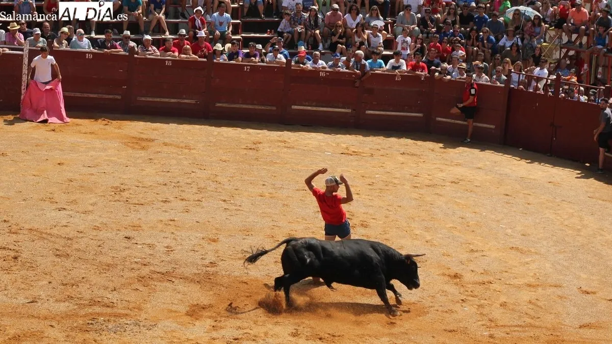 Foto 8 - El primer encierro a caballo de las fiestas de Toros de Lumbrales atrae a numeroso p&uacute;blico