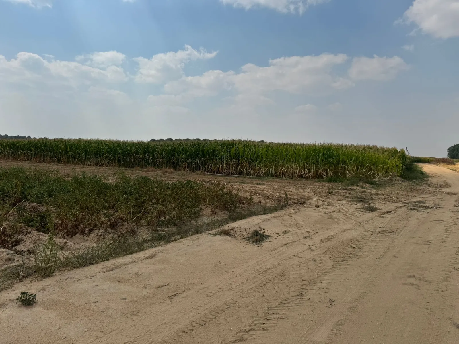 Foto 4 - El Gobierno de Cantalpino explica que el uso de un cohete de aviso en el encierro de campo &ldquo;no ha tenido peligro alguno&rdquo;