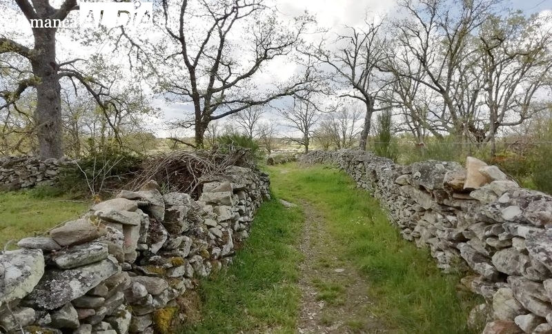 Concentración parcelaria Lumbrales: 6M€ para 120km de caminos