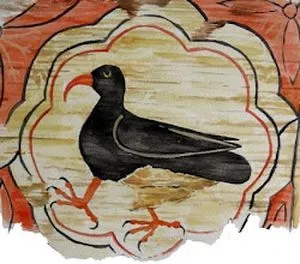 La chova piquirroja