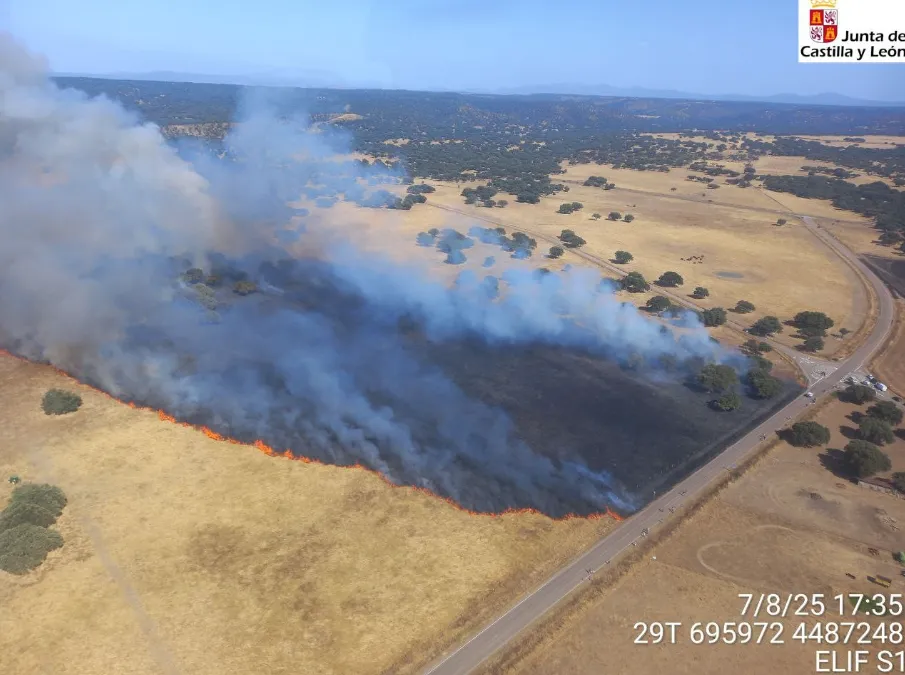 Foto 4 - Un incendio calcina 30 hect&aacute;reas en 30 minutos en Campillo de Azaba