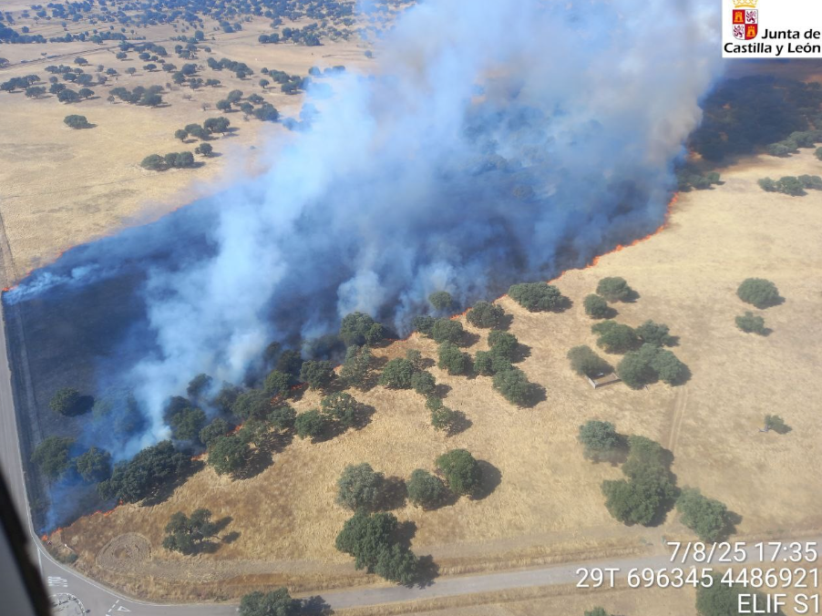 El incendio de Campillo de Azaba, que calcinó 39 hectáreas, fue intencionado