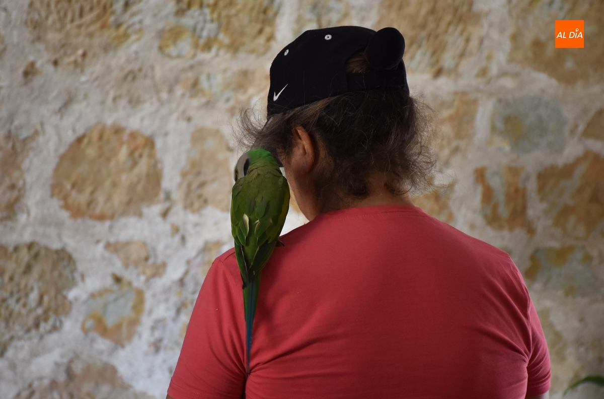 1Foto: Visitante al hombro