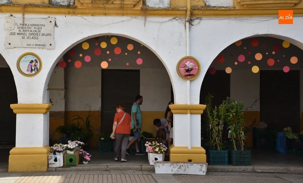Foto 4 - El Mercado de los Martes vive una de sus sesiones m&aacute;s coloridas