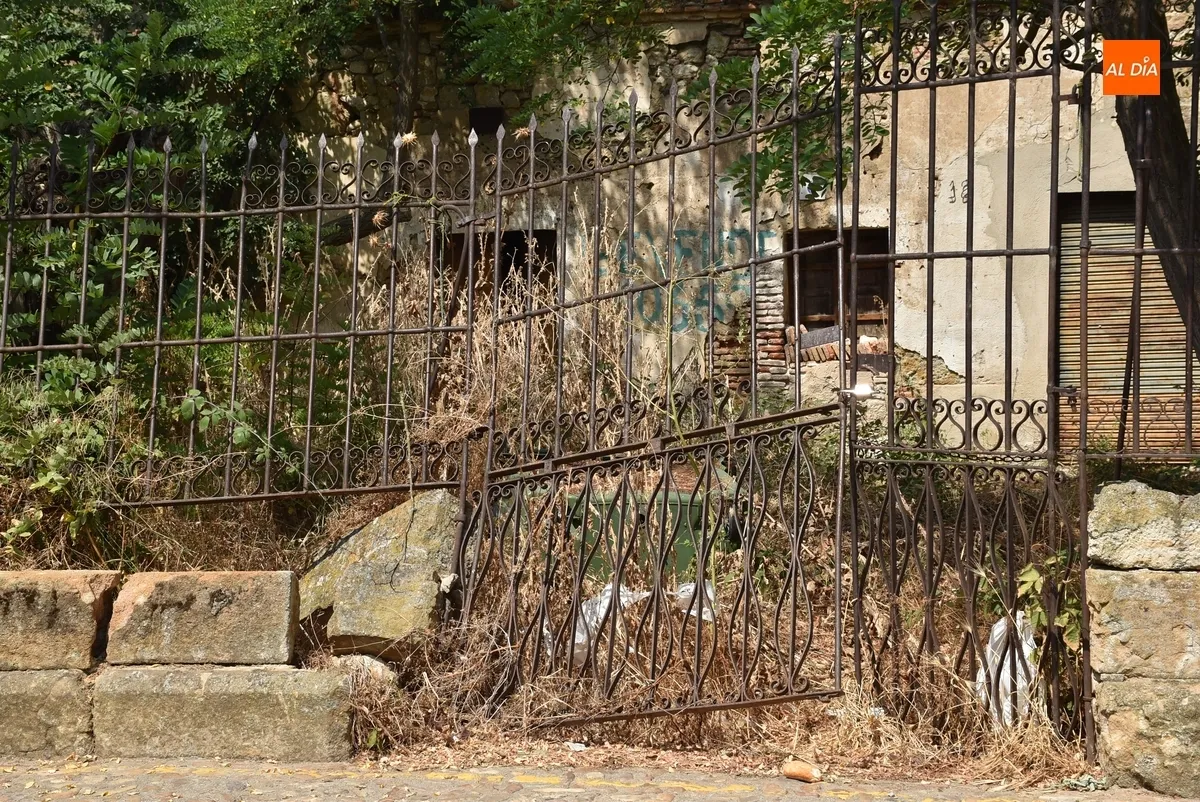 Foto 2 - Exigen por escrito la limpieza de los inmuebles en ruinas y abandonados de la calle Estacadilla