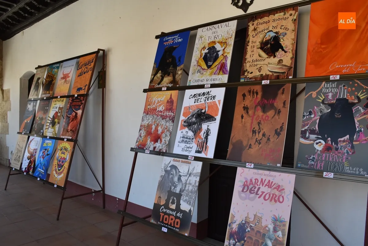 Foto 2 - 22 trabajos optan a convertirse en el cartel anunciador del Carnaval del Toro 2026