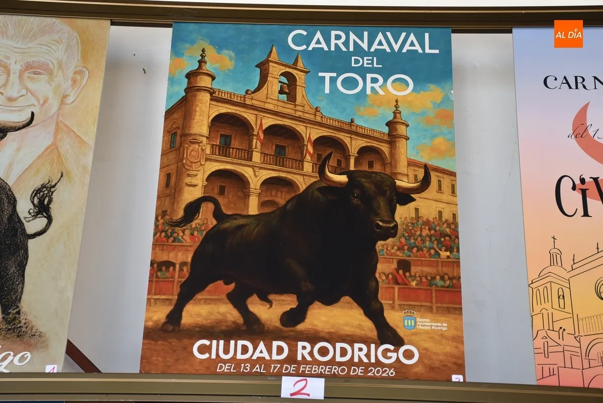 Foto 4 - 22 trabajos optan a convertirse en el cartel anunciador del Carnaval del Toro 2026