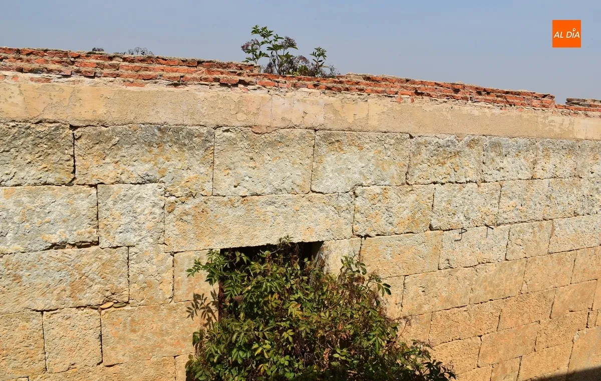 Foto 7 - Exigen por escrito la limpieza de los inmuebles en ruinas y abandonados de la calle Estacadilla