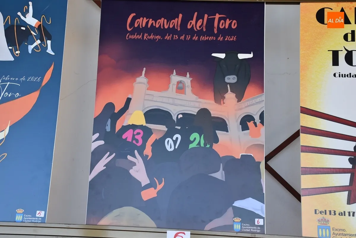 Foto 8 - 22 trabajos optan a convertirse en el cartel anunciador del Carnaval del Toro 2026