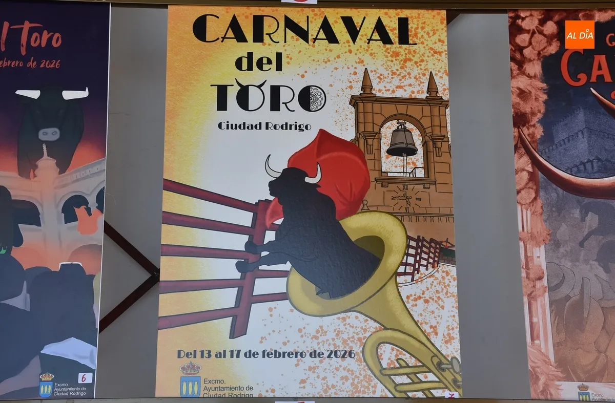 Foto 9 - 22 trabajos optan a convertirse en el cartel anunciador del Carnaval del Toro 2026