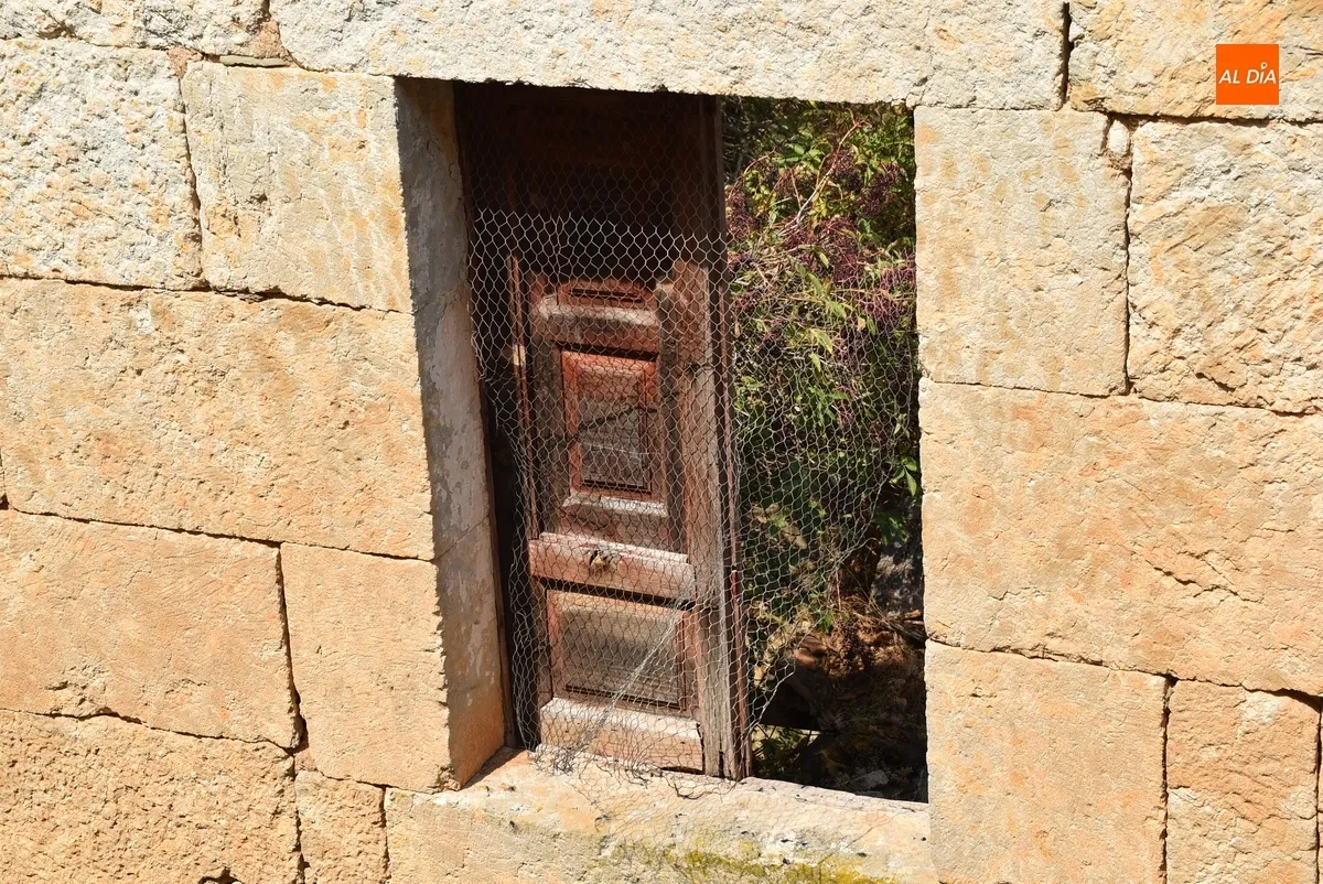 Foto 8 - Exigen por escrito la limpieza de los inmuebles en ruinas y abandonados de la calle Estacadilla