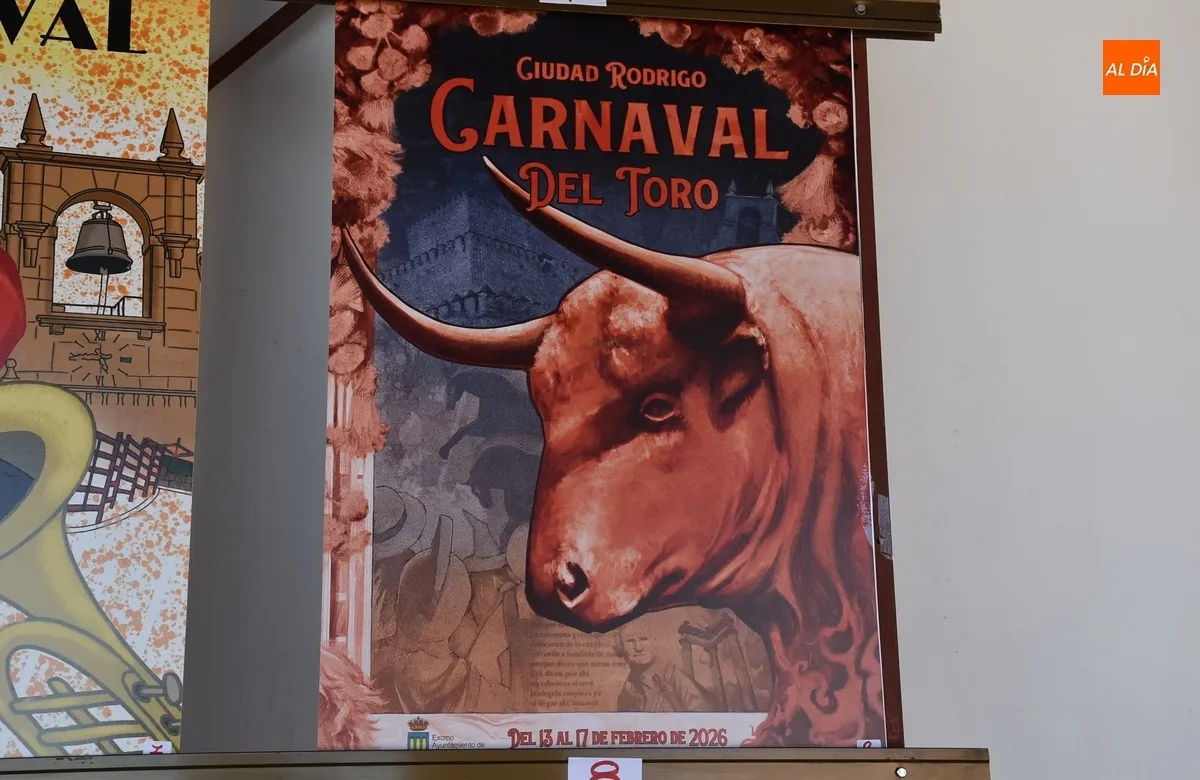 Foto 10 - 22 trabajos optan a convertirse en el cartel anunciador del Carnaval del Toro 2026