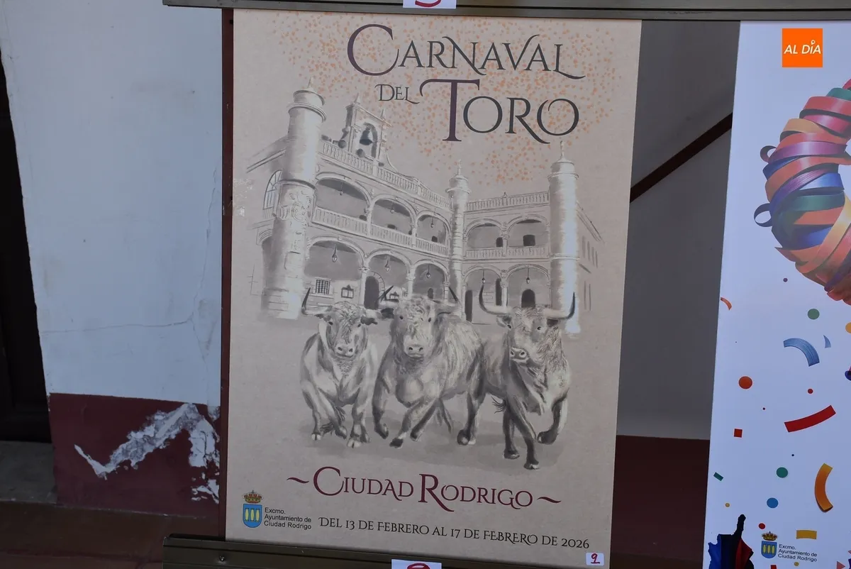 Foto 11 - 22 trabajos optan a convertirse en el cartel anunciador del Carnaval del Toro 2026