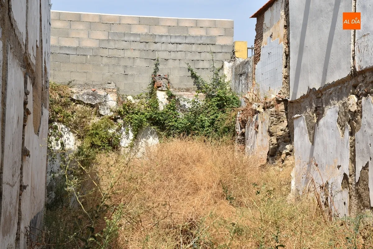 Foto 9 - Exigen por escrito la limpieza de los inmuebles en ruinas y abandonados de la calle Estacadilla