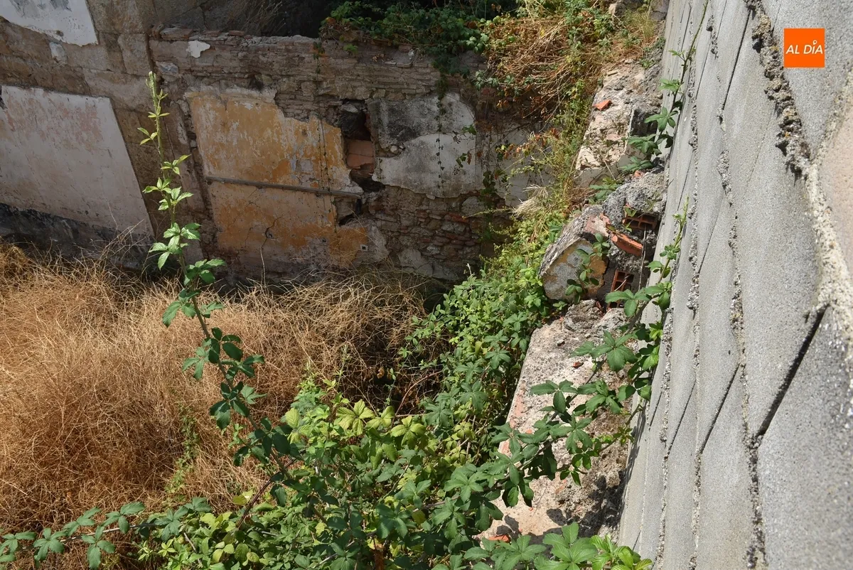 Foto 10 - Exigen por escrito la limpieza de los inmuebles en ruinas y abandonados de la calle Estacadilla