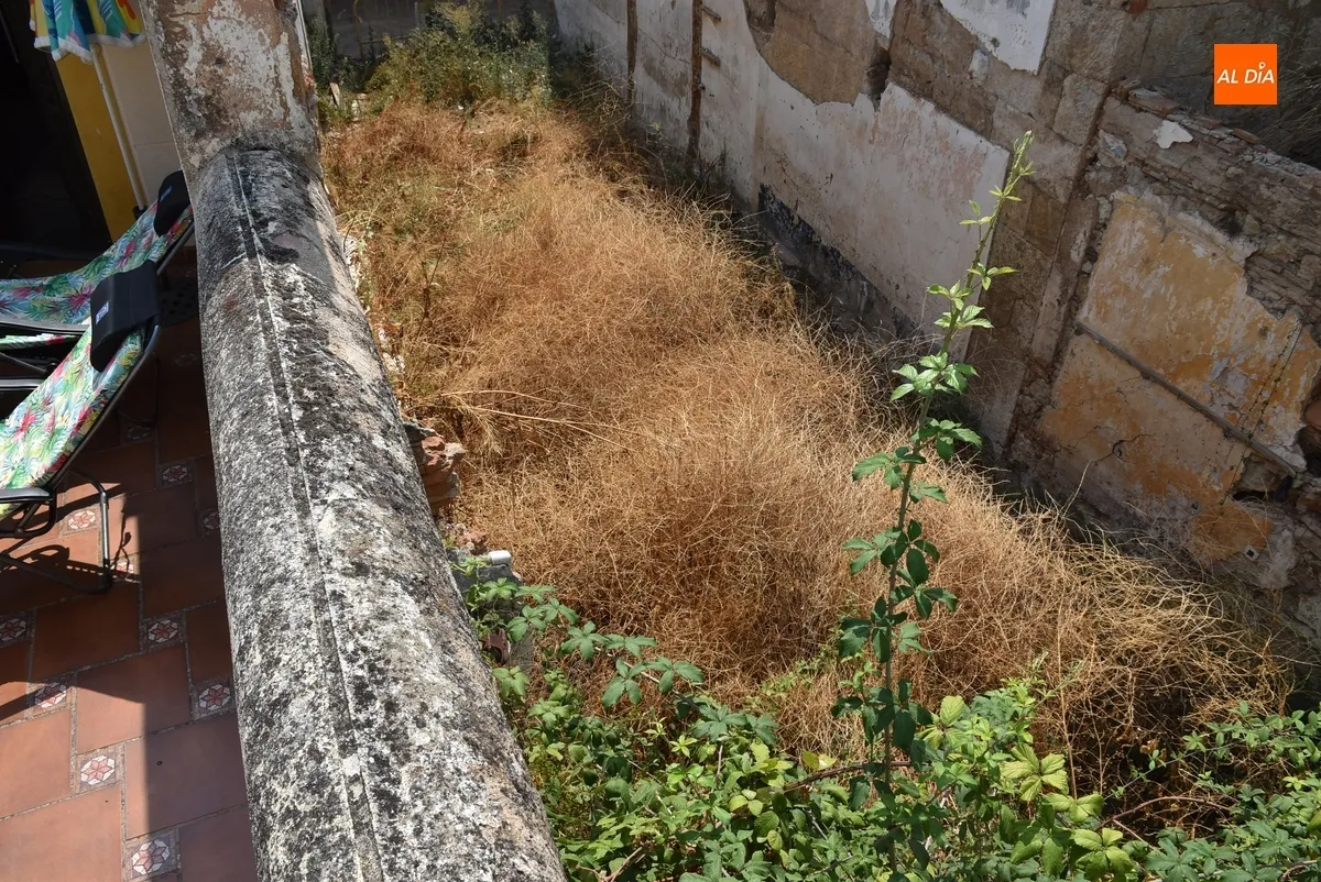 Foto 11 - Exigen por escrito la limpieza de los inmuebles en ruinas y abandonados de la calle Estacadilla