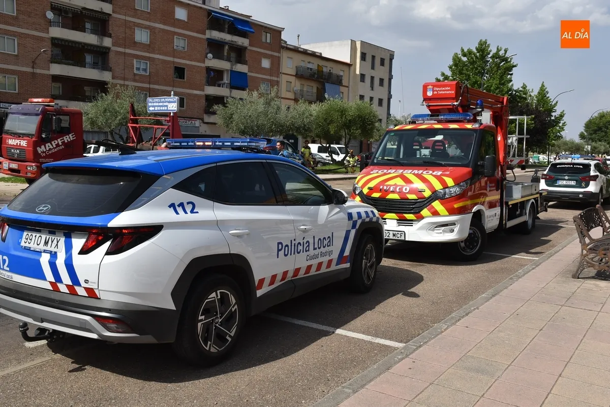 Foto 2 - Un conductor se sale de la calzada y choca contra una farola en plena Avenida de Salamanca