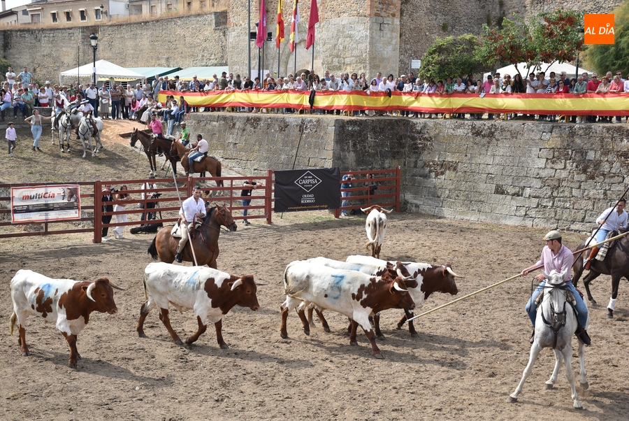 Abierta la inscripción para el concurso del Apartado de la Vaca de la Feria del Caballo