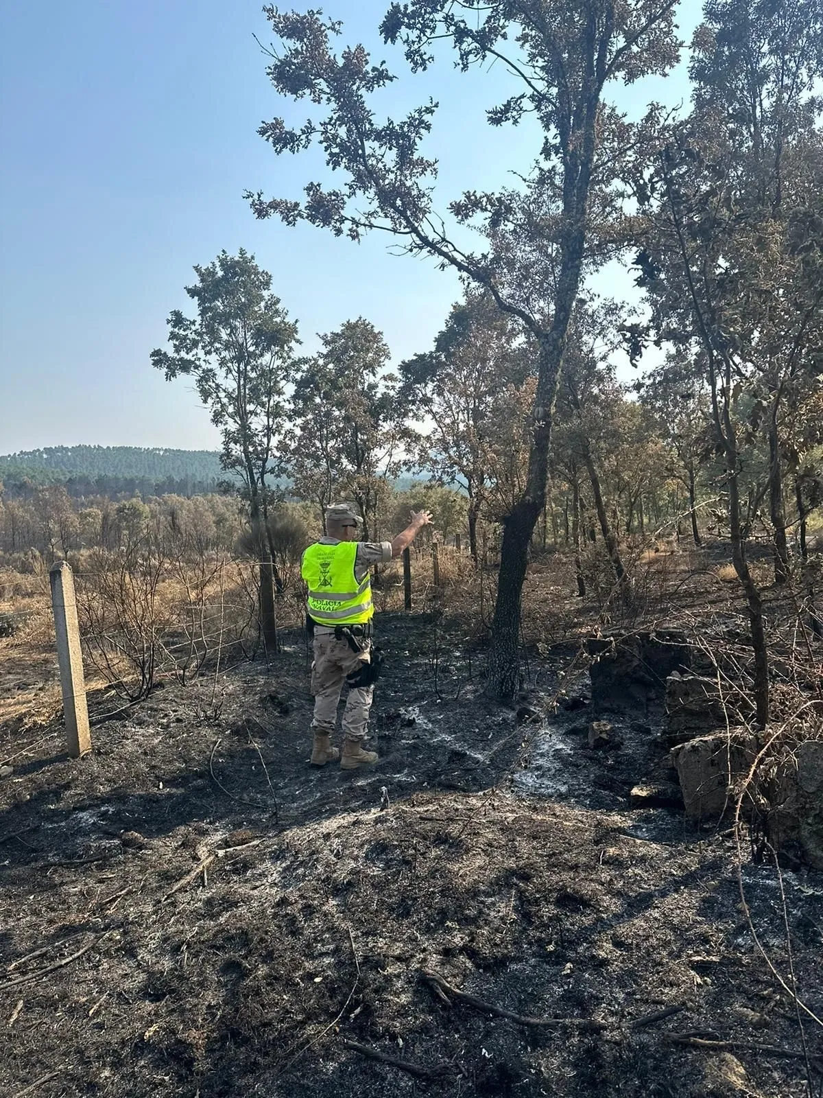 Despliegue de la Armada en Salamanca, Ávila y Cáceres por los incendios. Fotos @Defensagob
