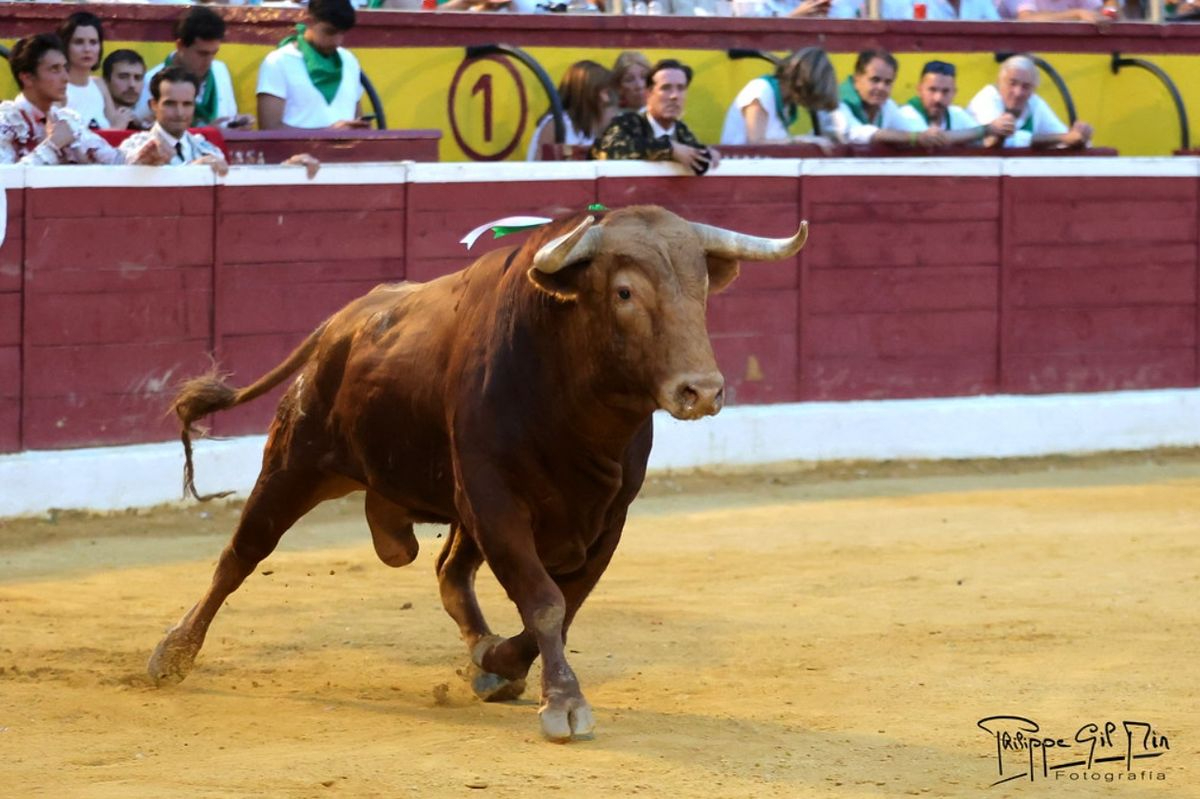 El Pilar mejor ganadería feria Huesca