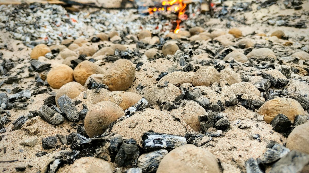 El sabor de la tierra y el mar alimenta Praia da Tocha con sus Sardinas a la Teja y sus Patatas en la Arena
