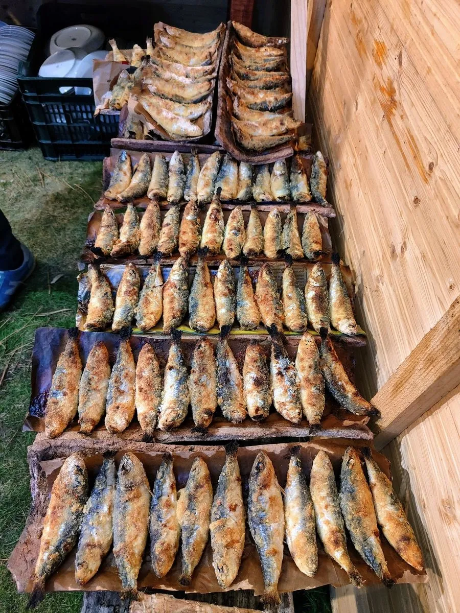 Festival da Batata Assada n’Areia e Sardinha Assada na Telha, Praia da Tocha (Cantanhede, Portugal) 