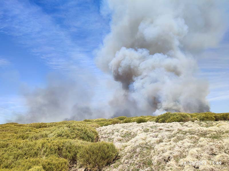 Movilización en Candelario por un incendio forestal