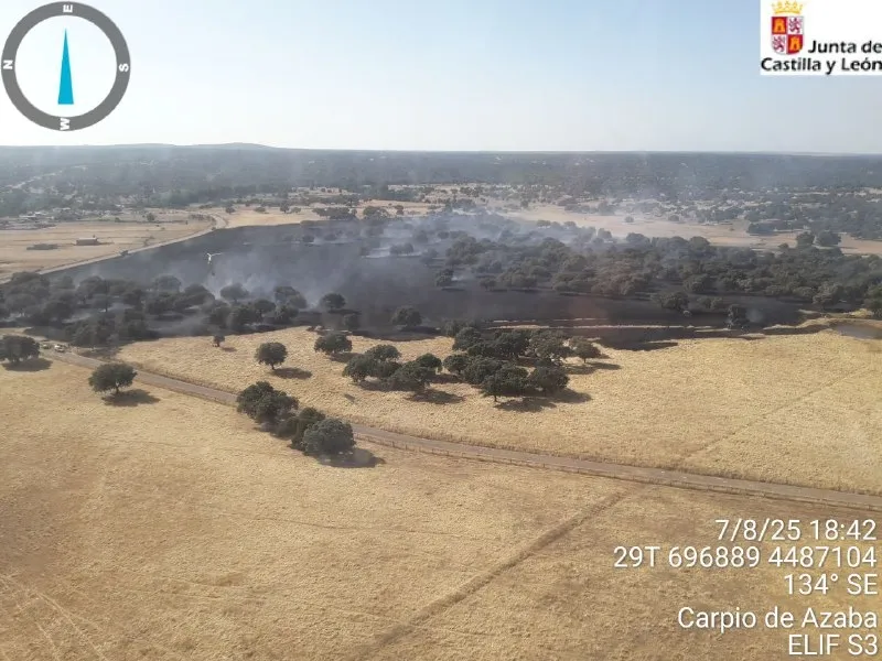 Foto 2 - Un incendio calcina 30 hect&aacute;reas en 30 minutos en Campillo de Azaba