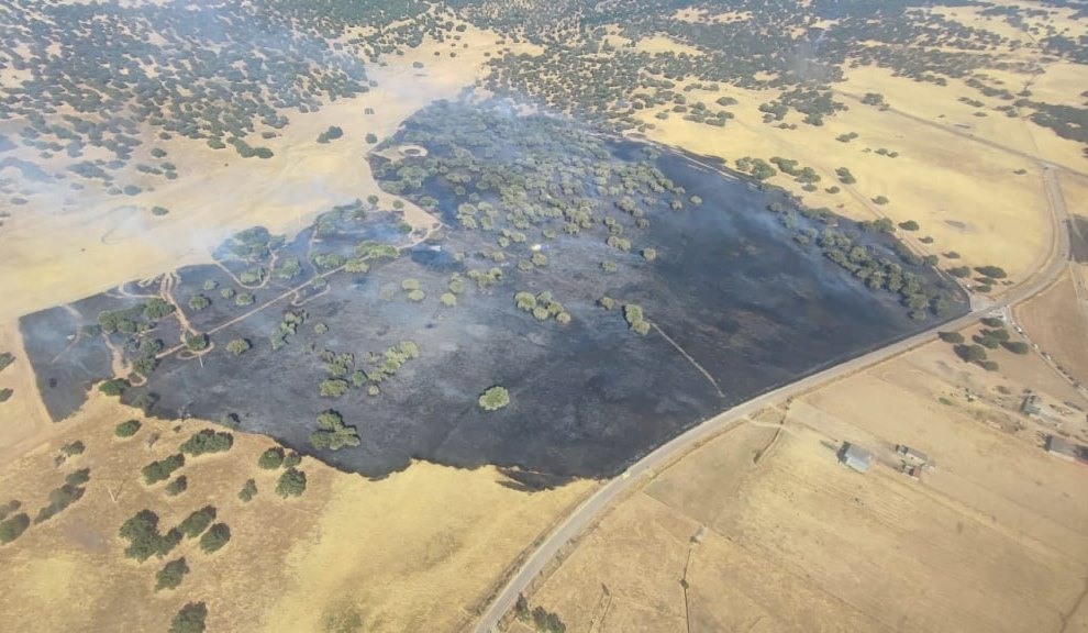 Un incendio calcina 30 hectáreas en 30 minutos en Campillo de Azaba