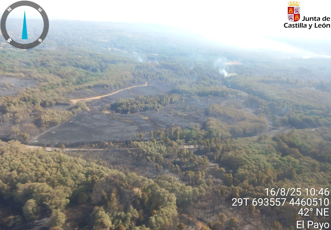 Dado por extinguido el incendio de El Payo