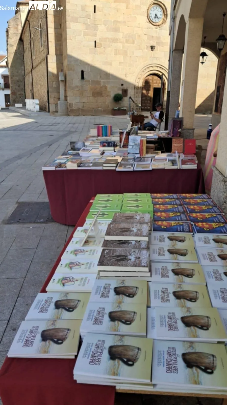 II Feria del Libro de Tamames. Fotografías: Charo García de Arriba y Librería Víctor Jara.
