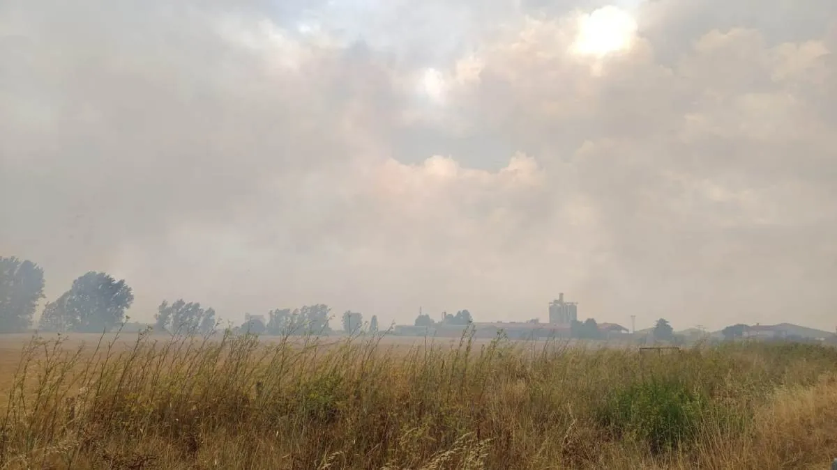 Foto 5 - Declarado un incendio con &Iacute;ndice 2 de Gravedad Potencial en el coraz&oacute;n del Campo Charro