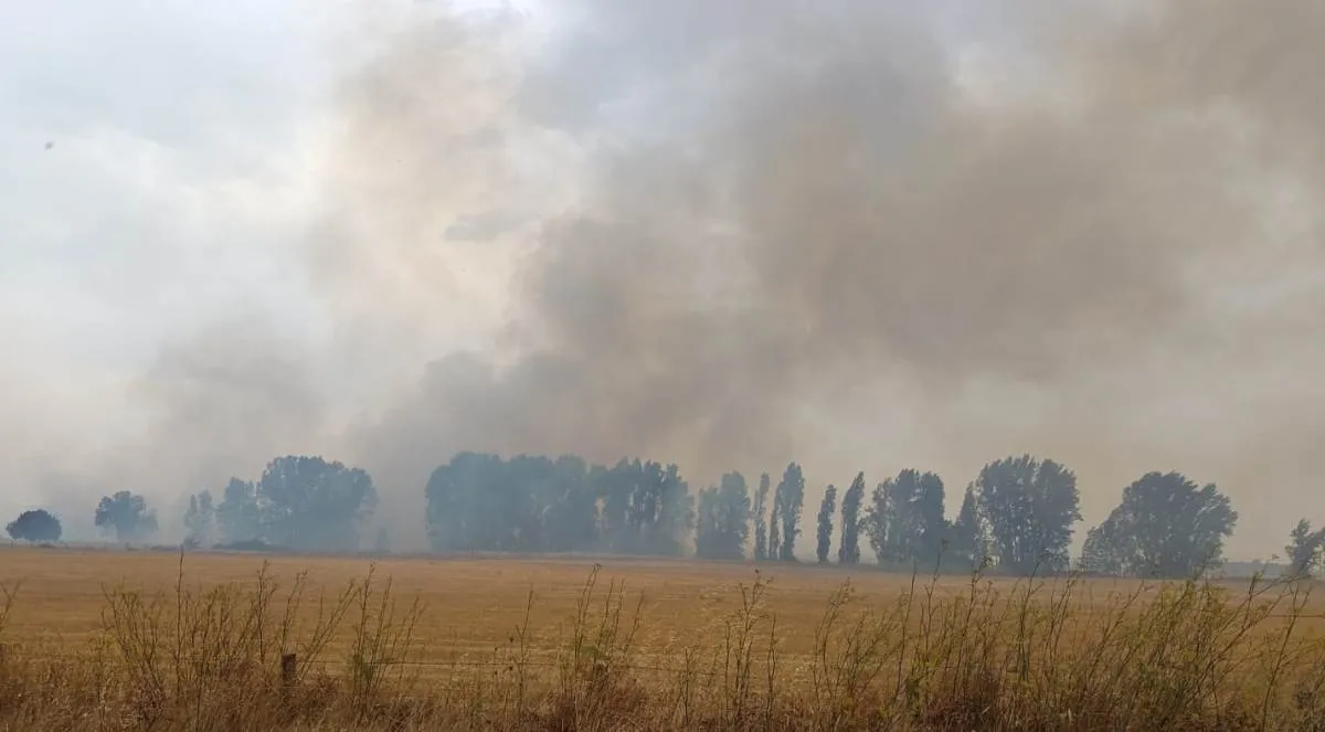 Foto 4 - Declarado un incendio con &Iacute;ndice 2 de Gravedad Potencial en el coraz&oacute;n del Campo Charro