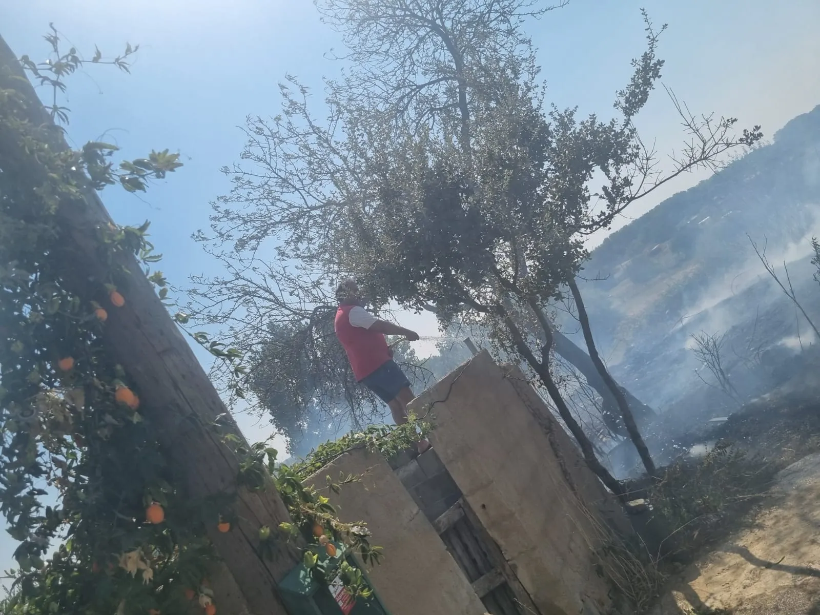 Foto 2 - Registrado un incendio forestal en la zona de las Huertas de Santa Cruz de Ciudad Rodrigo