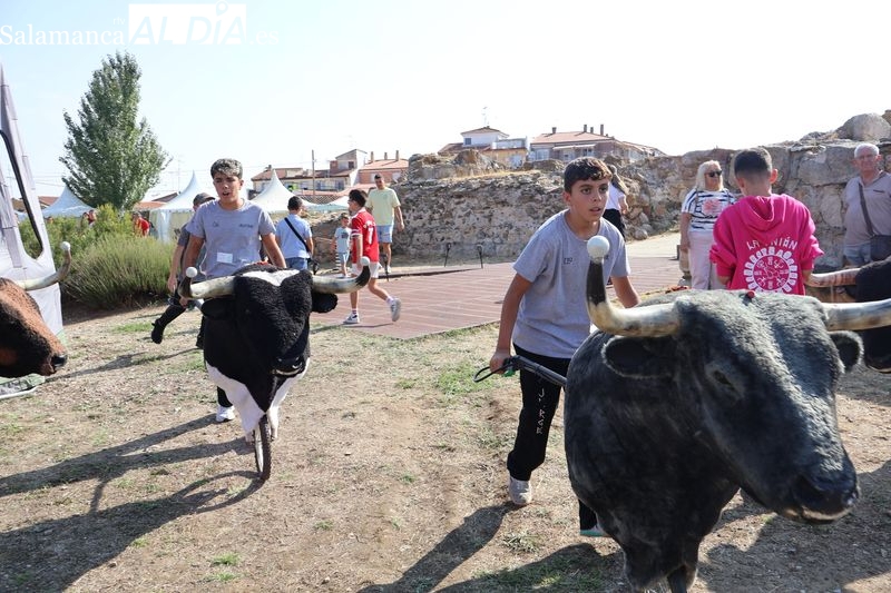 Desayuno y encierro infantil en el Castillo de los Duques de Alba