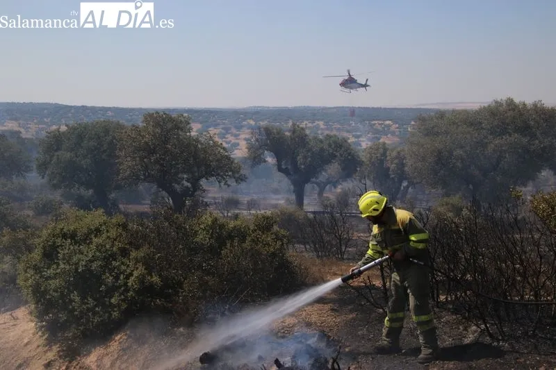 Foto 11 - Un incendio en una finca de Terradillos moviliza un amplio despliegue a&eacute;reo y terrestre
