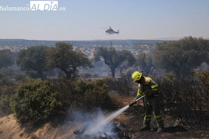 Foto 10 - Un incendio en una finca de Terradillos moviliza un amplio despliegue a&eacute;reo y terrestre