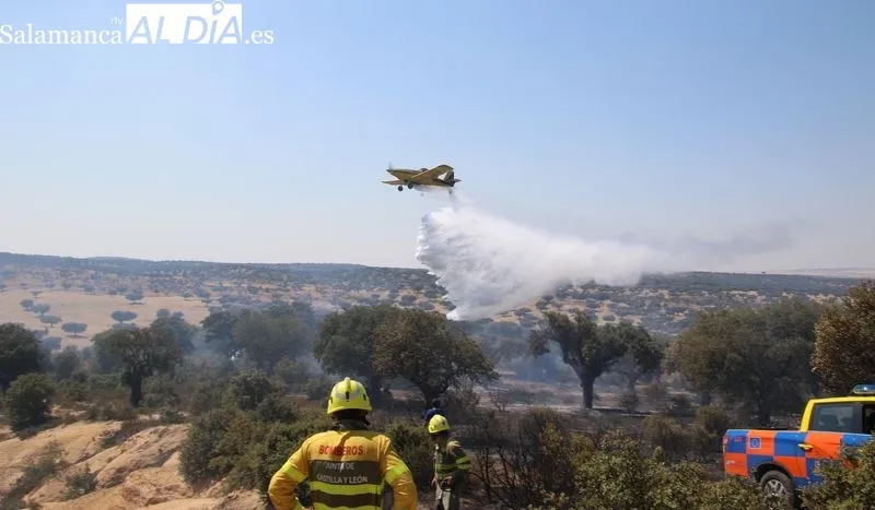 Foto 9 - Un incendio en una finca de Terradillos moviliza un amplio despliegue a&eacute;reo y terrestre